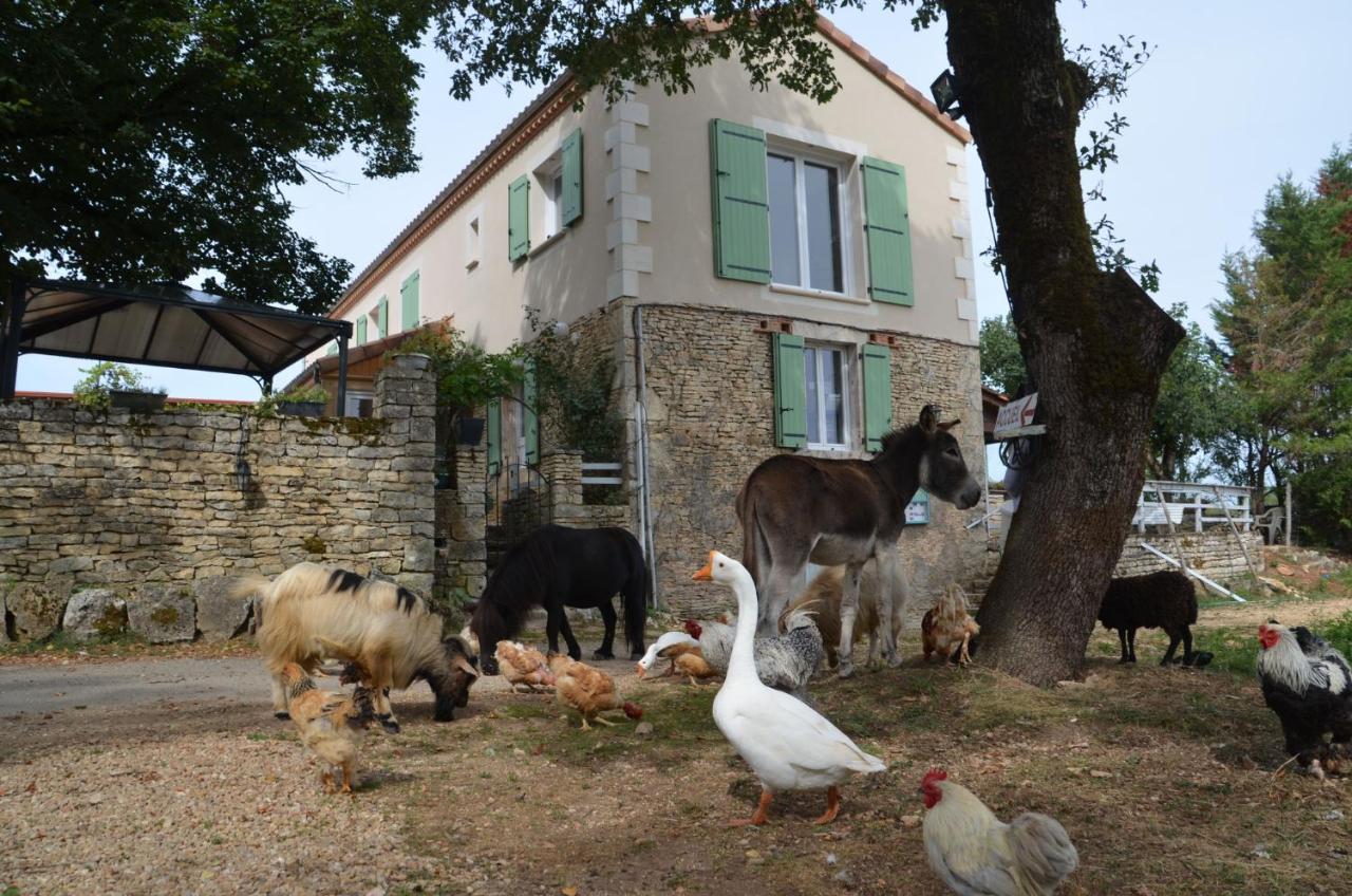 La Ferme Des Vergnes * Gabillou