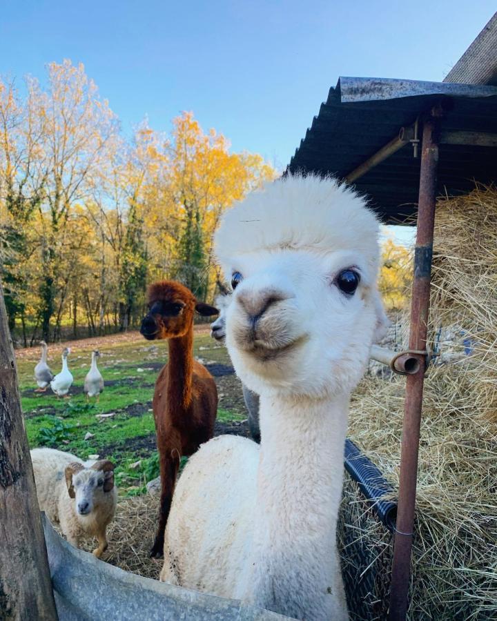 La Ferme Des Vergnes Gabillou